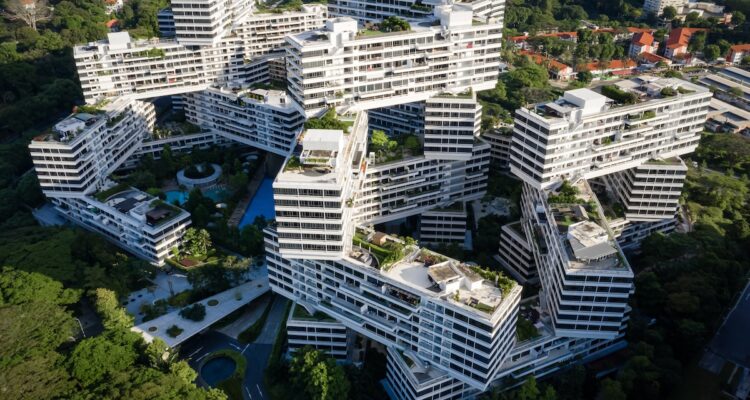 The Interlace