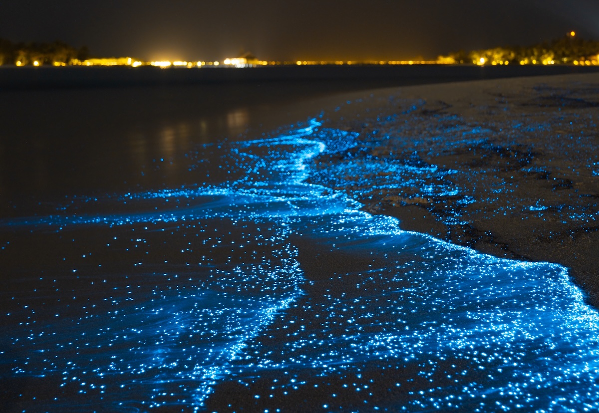 Vaadhoo Island Beach