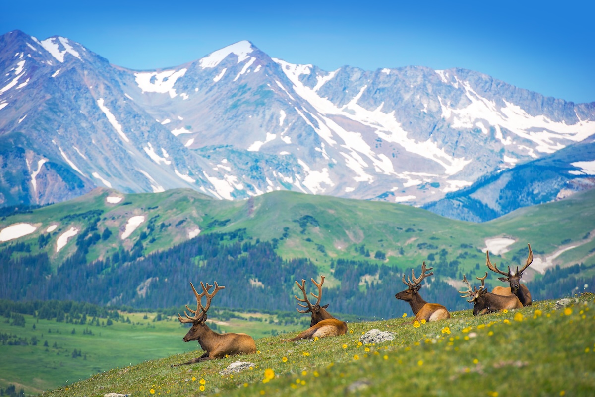 Colorado