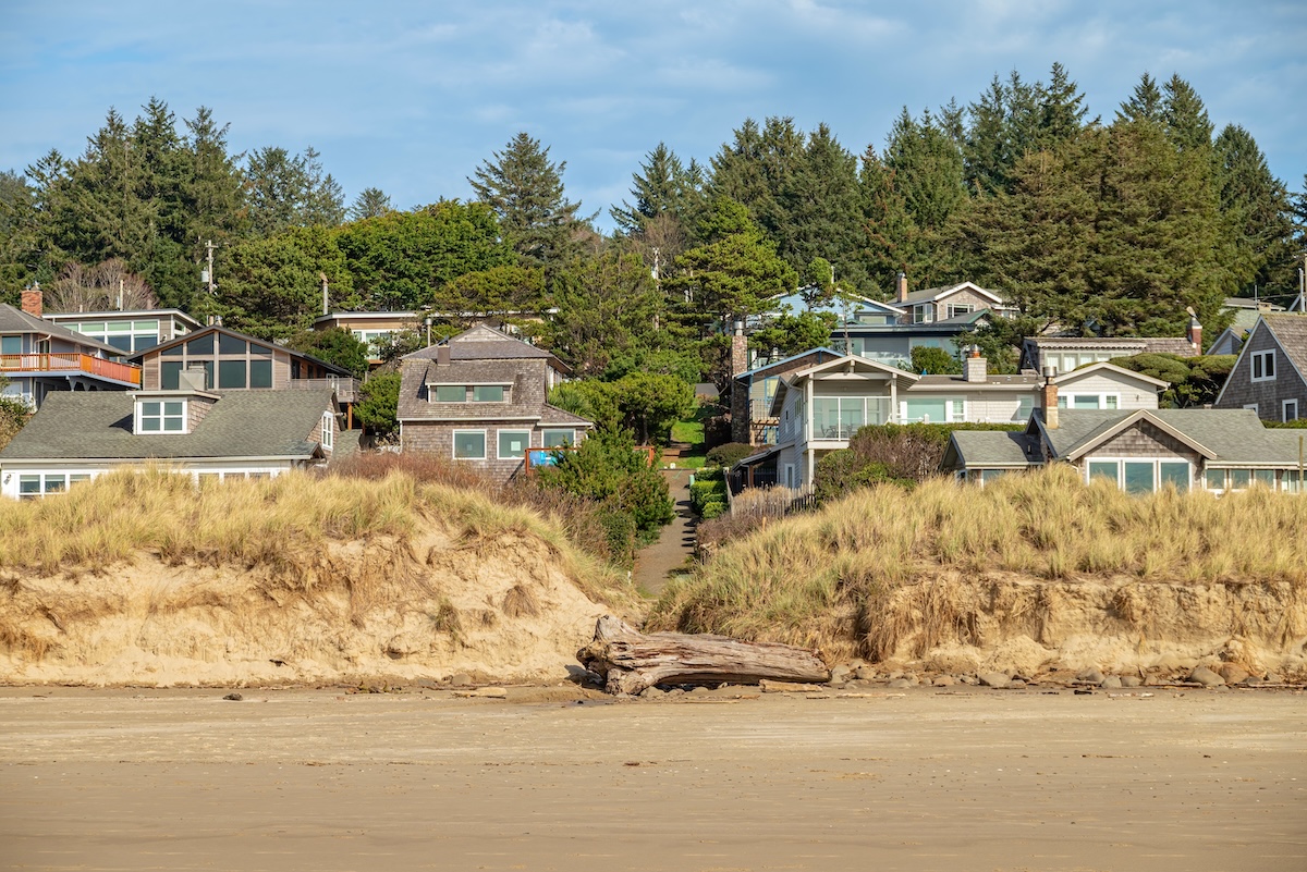 Manzanita