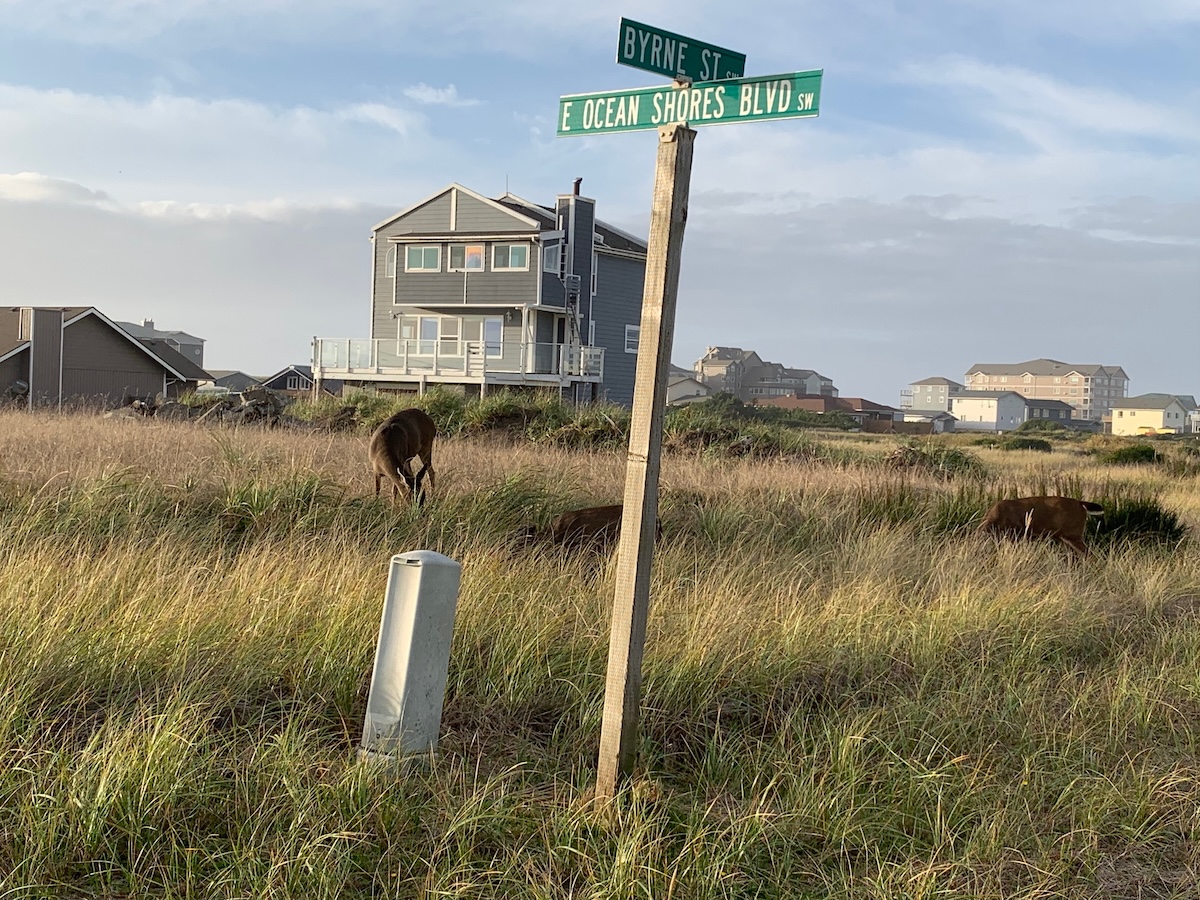 Ocean Shores