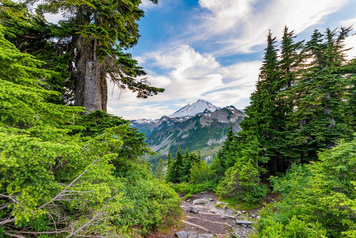 Washington
