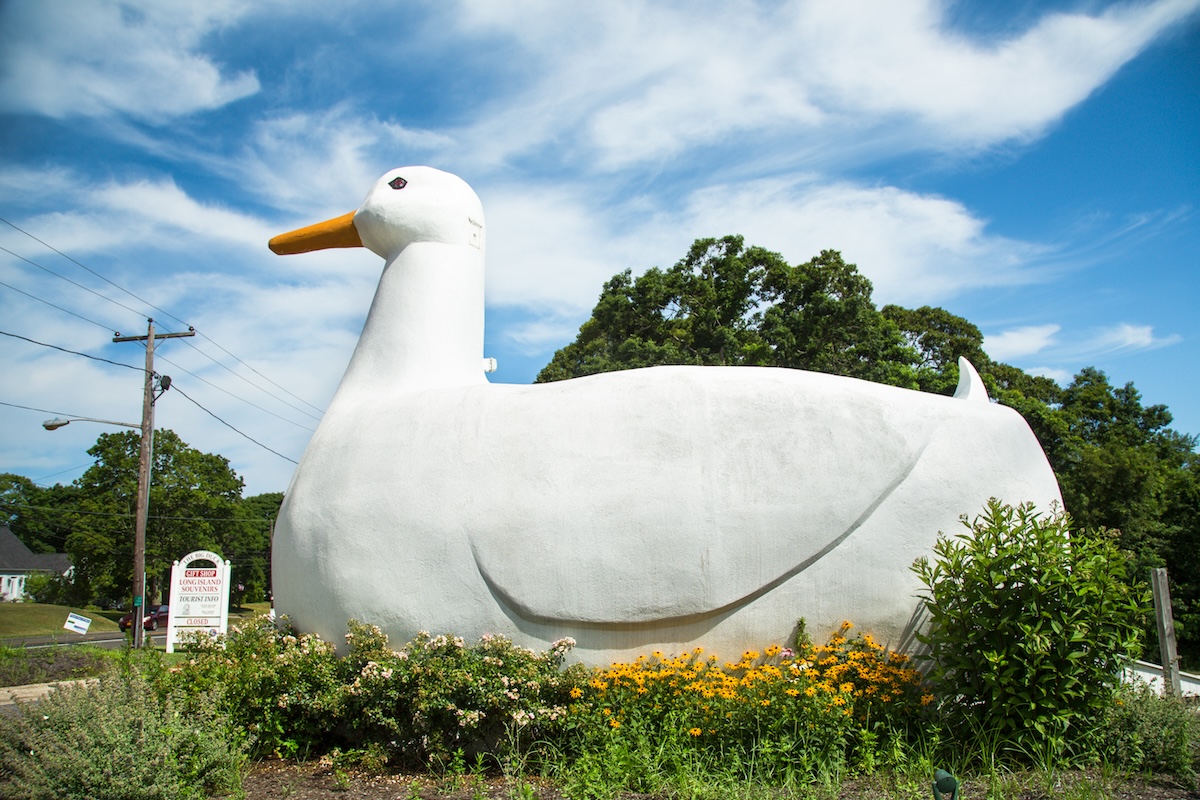 Big Duck