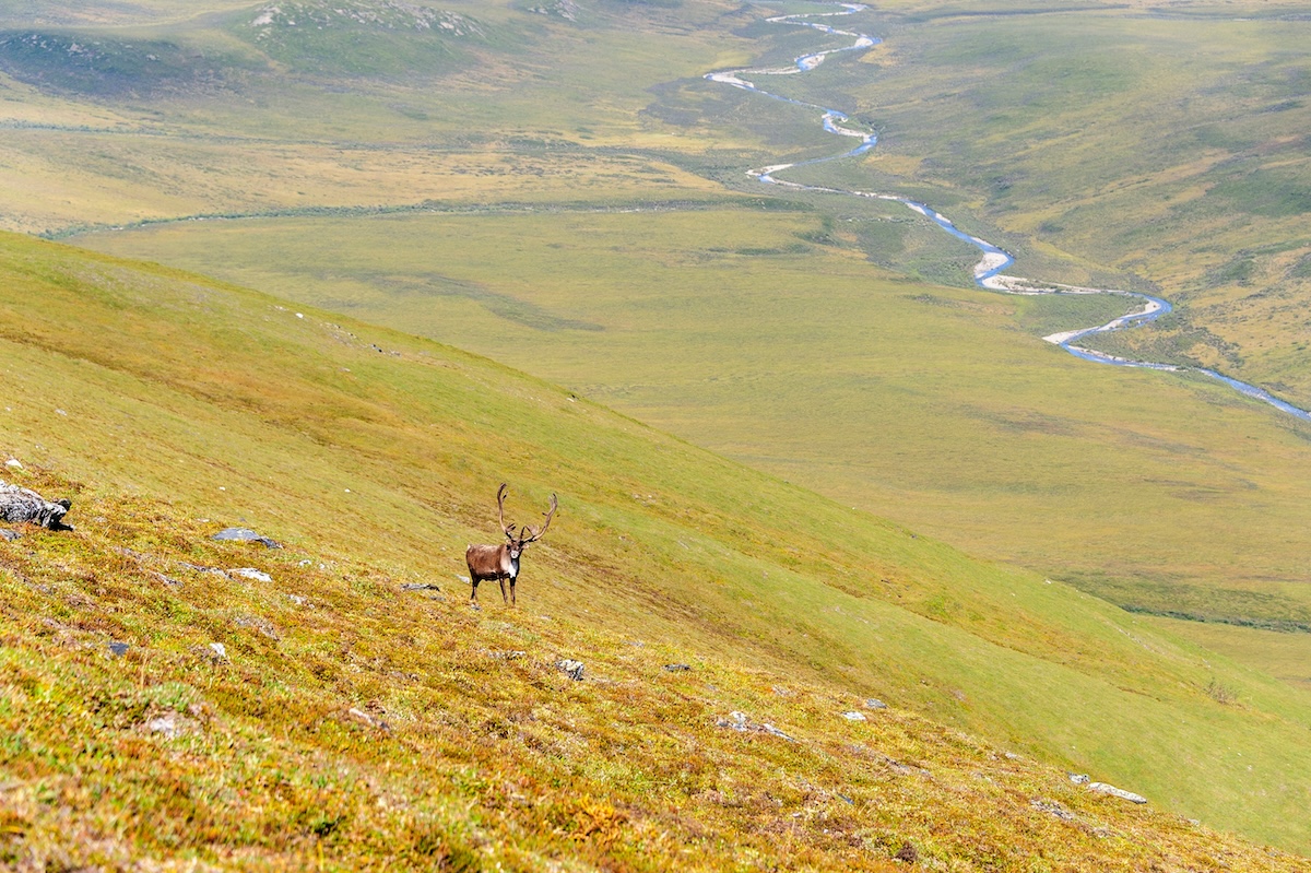 Gates of the Arctic National Park