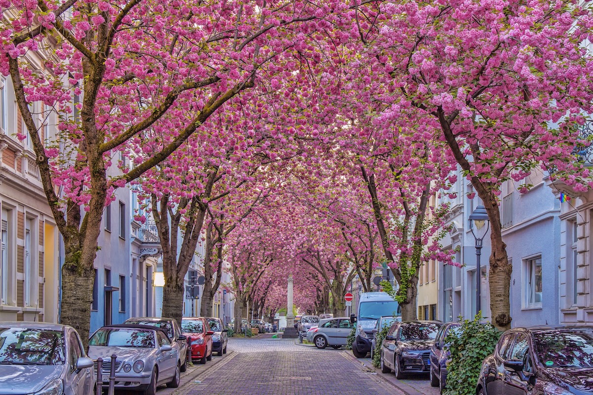 Heerstrasse