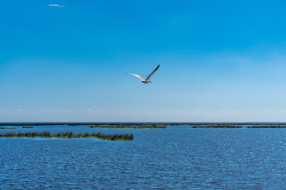 Lake Okeechobee