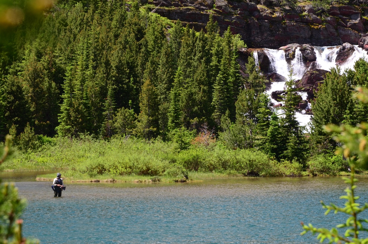 Montana