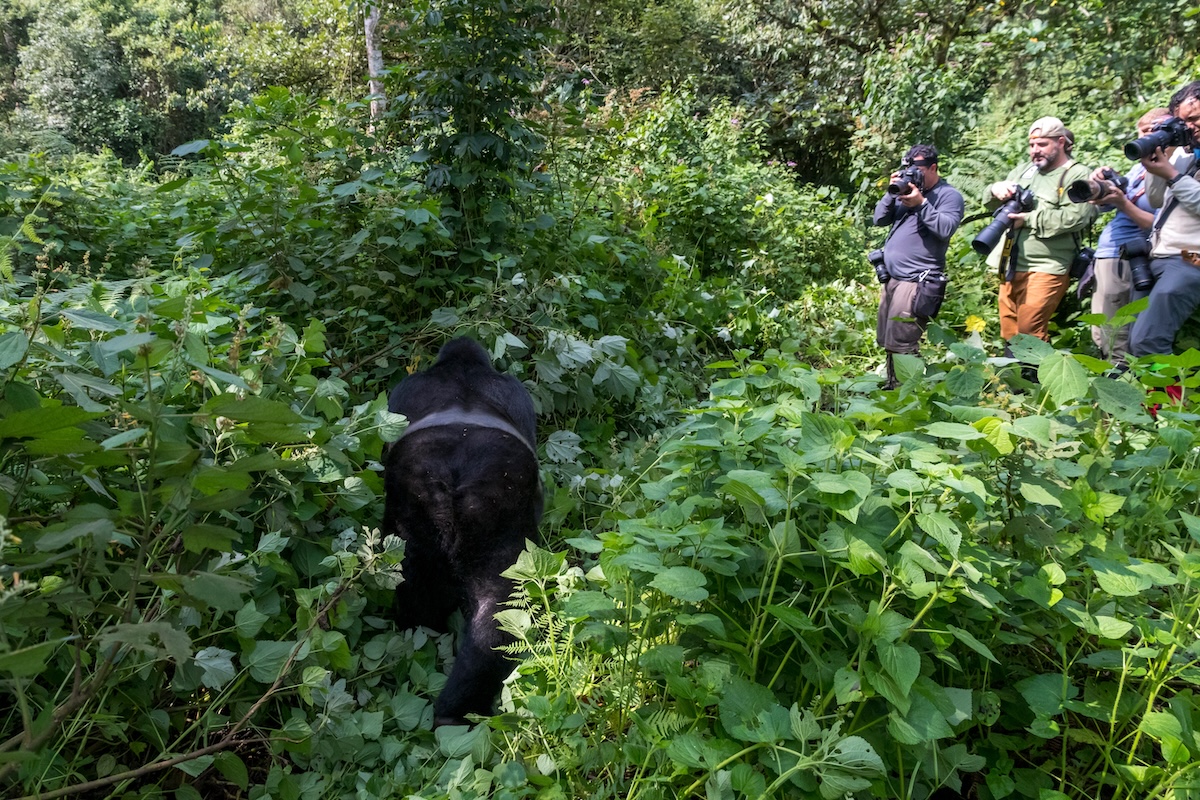Uganda