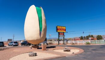 World's Largest Pistachio