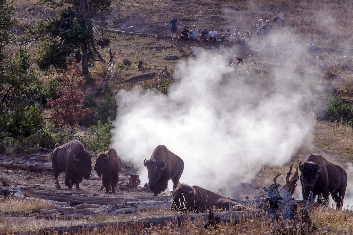 Yellowstone National Park