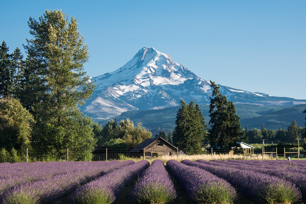 Oregon