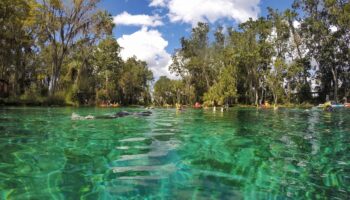 Crystal River