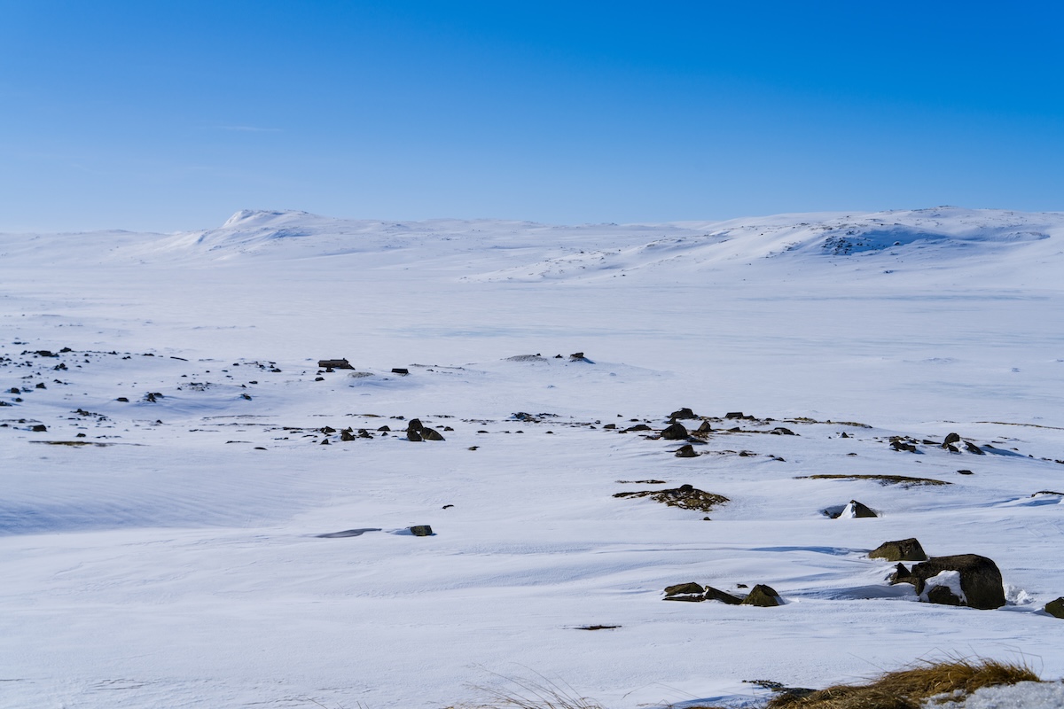 Hardangerjøkulen