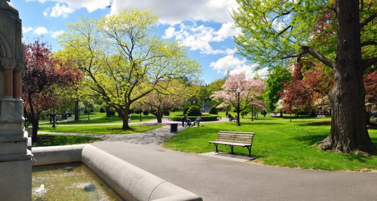 Boston Common & Public Garden