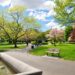 Boston Common & Public Garden