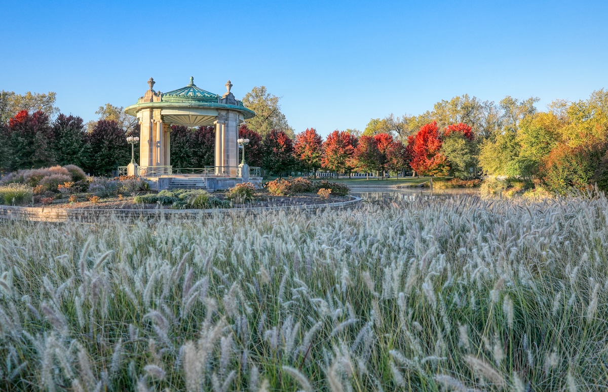 Forest Park