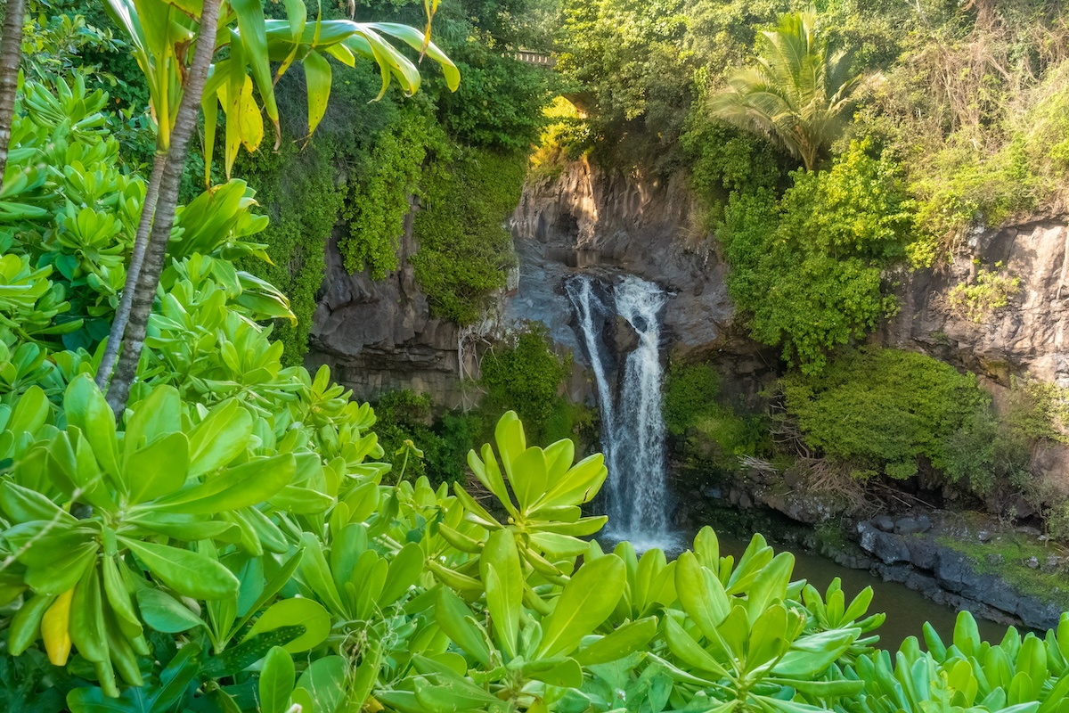 Maui