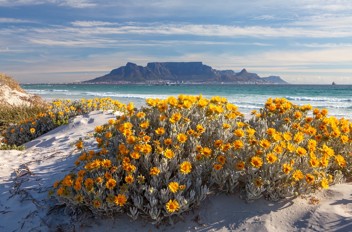 Table Mountain