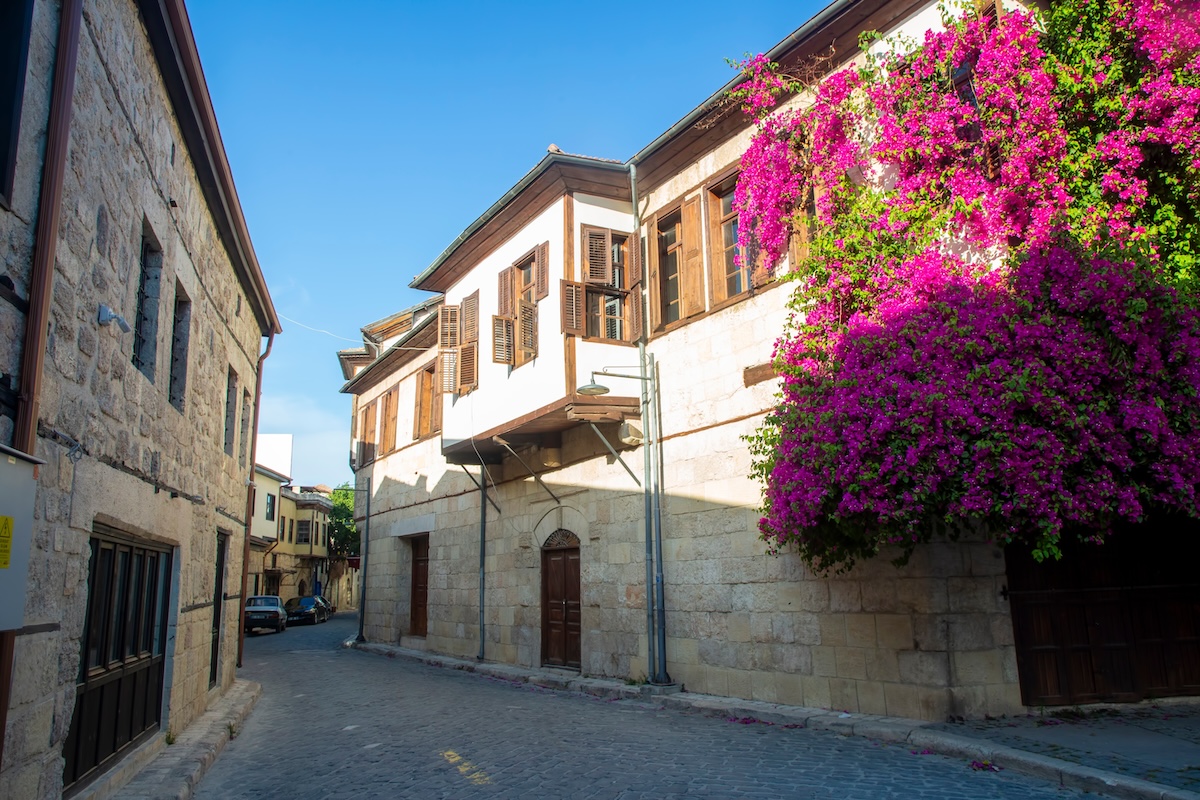 Tarsus
