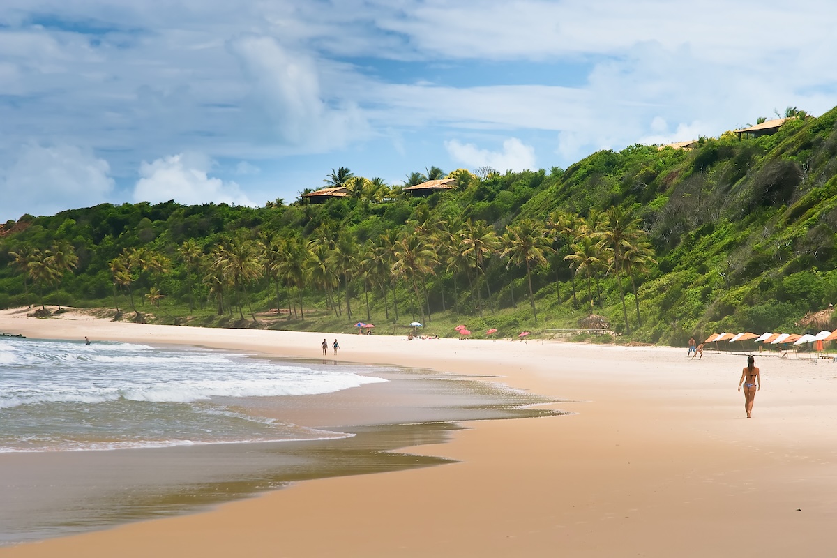 10 Largest Countries in the World - Brazil