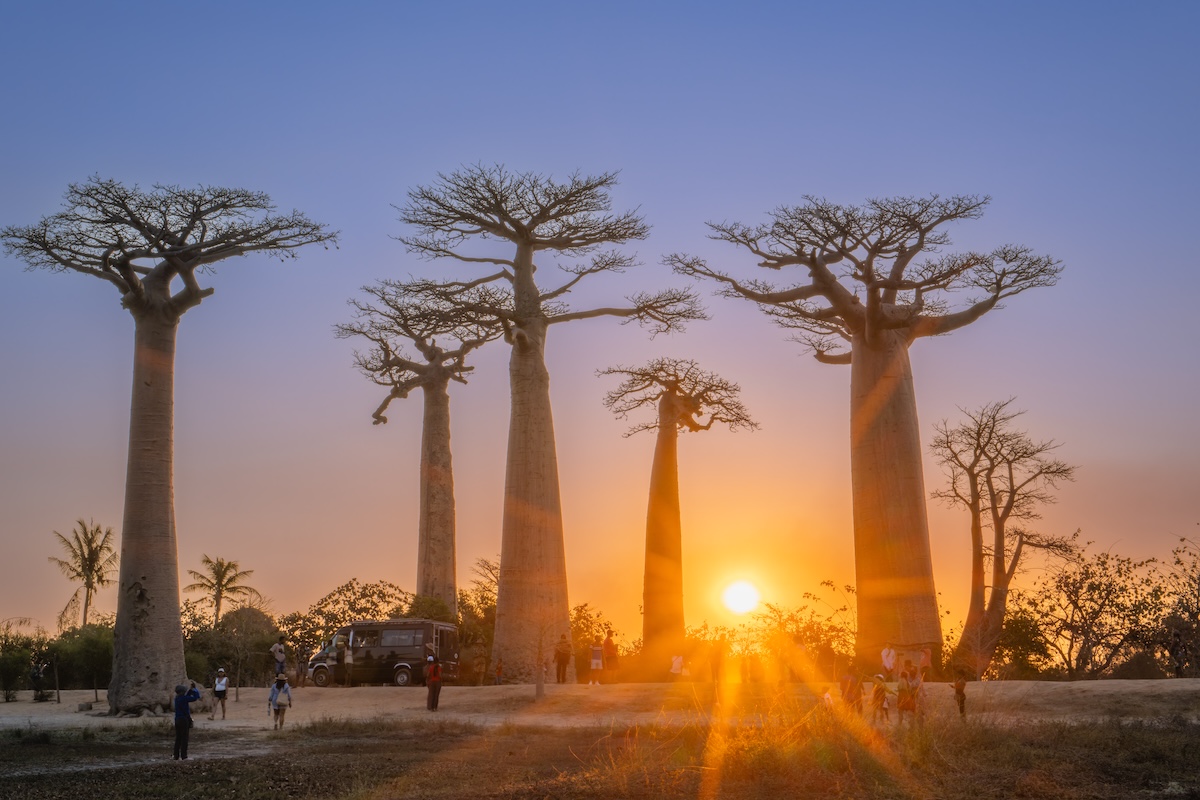 Madagascar