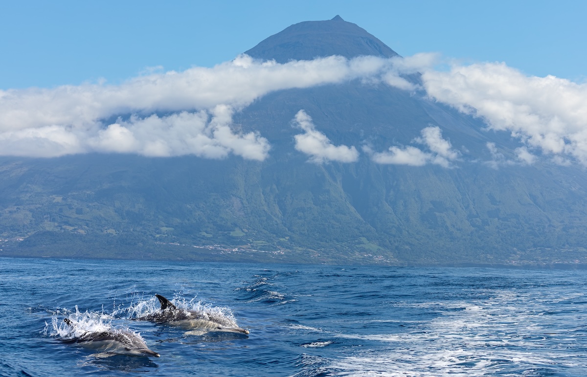 Pico Island