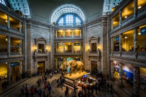 National Museum of Natural History