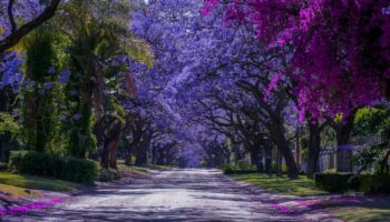 Herbert Baker Street