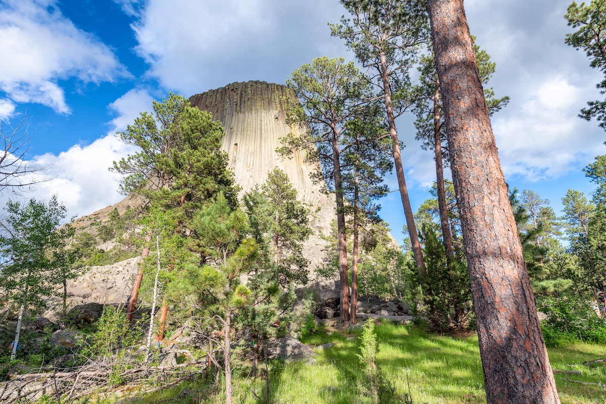 Devils Tower