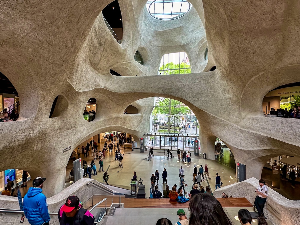 AMNH, NYC