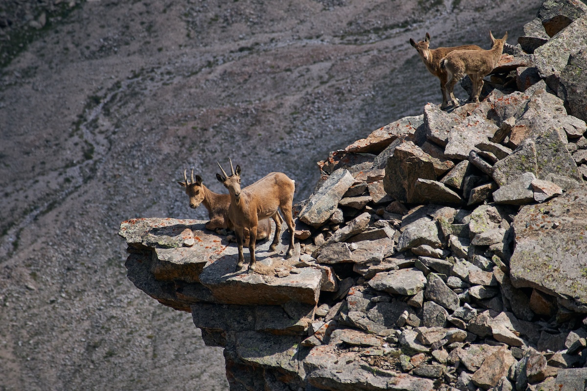 Ala-Archa National Park