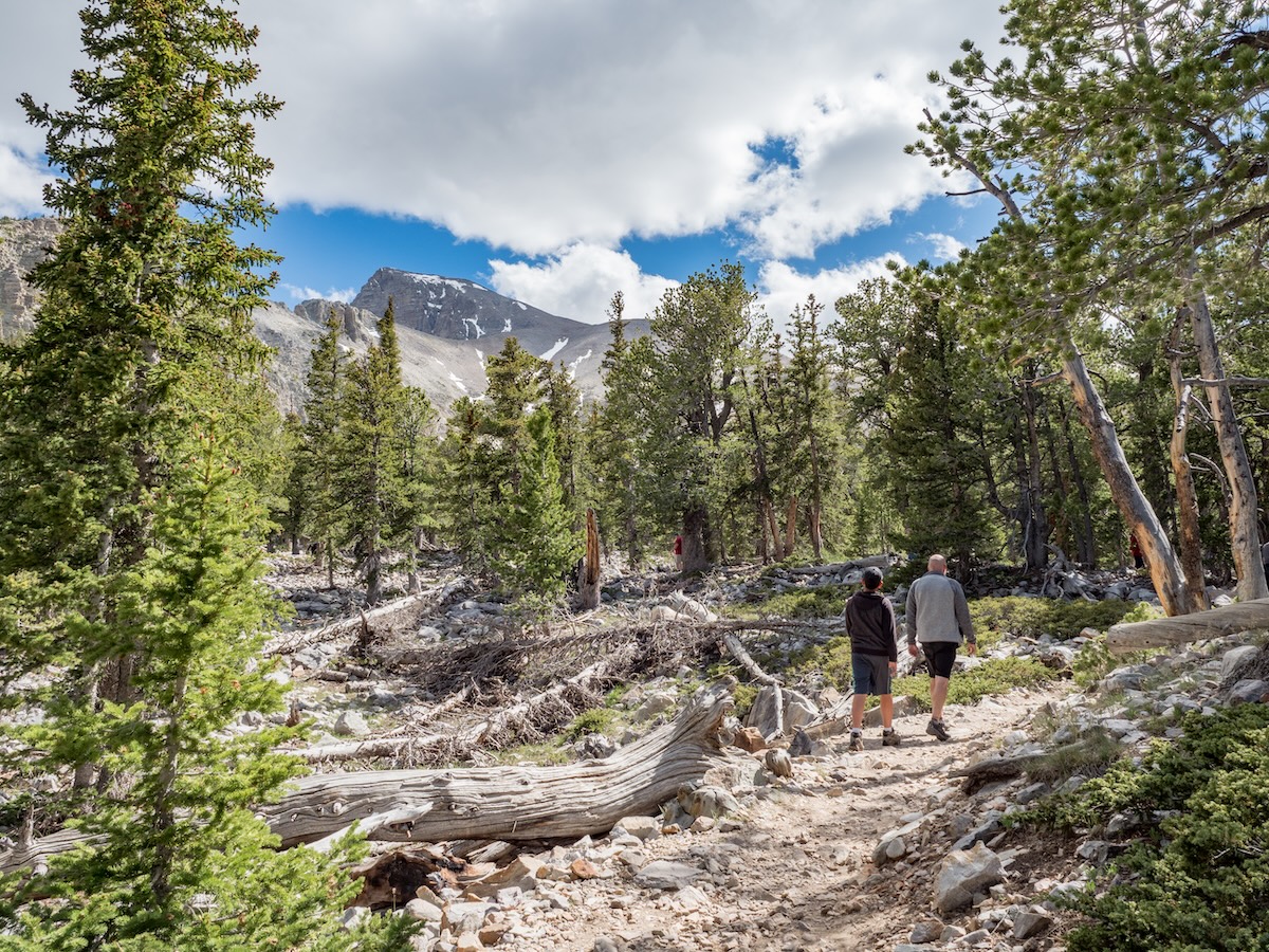 Great Basin National Park