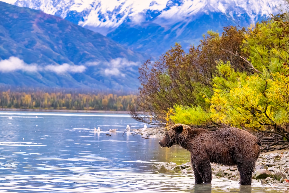 Lake Clark National Park