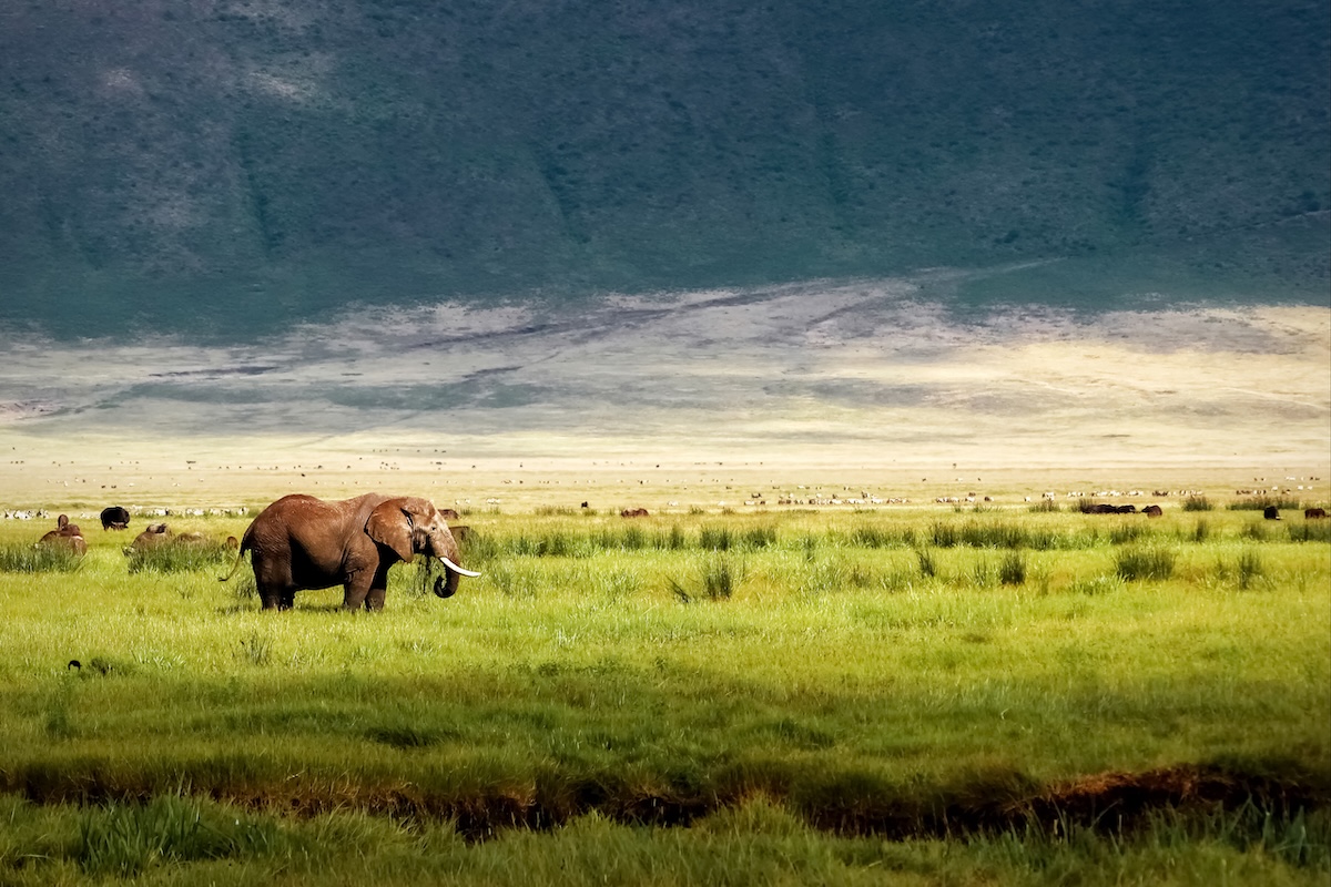 Ngorongoro Crater