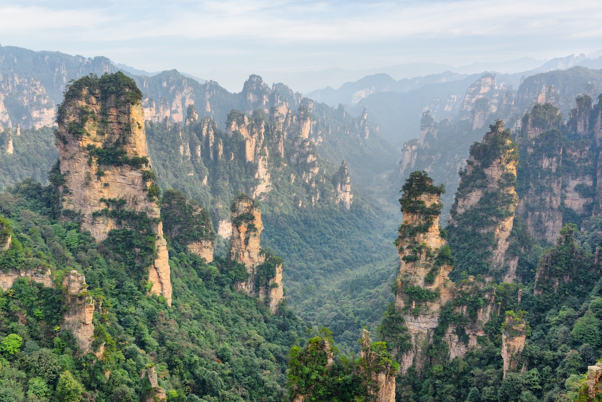 Zhangjiajie National Forest