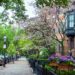 Back Bay