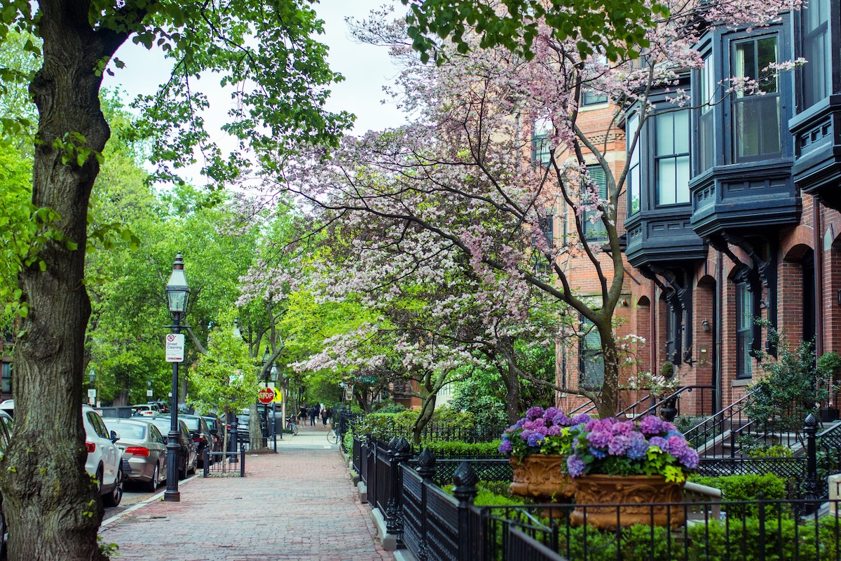 Back Bay