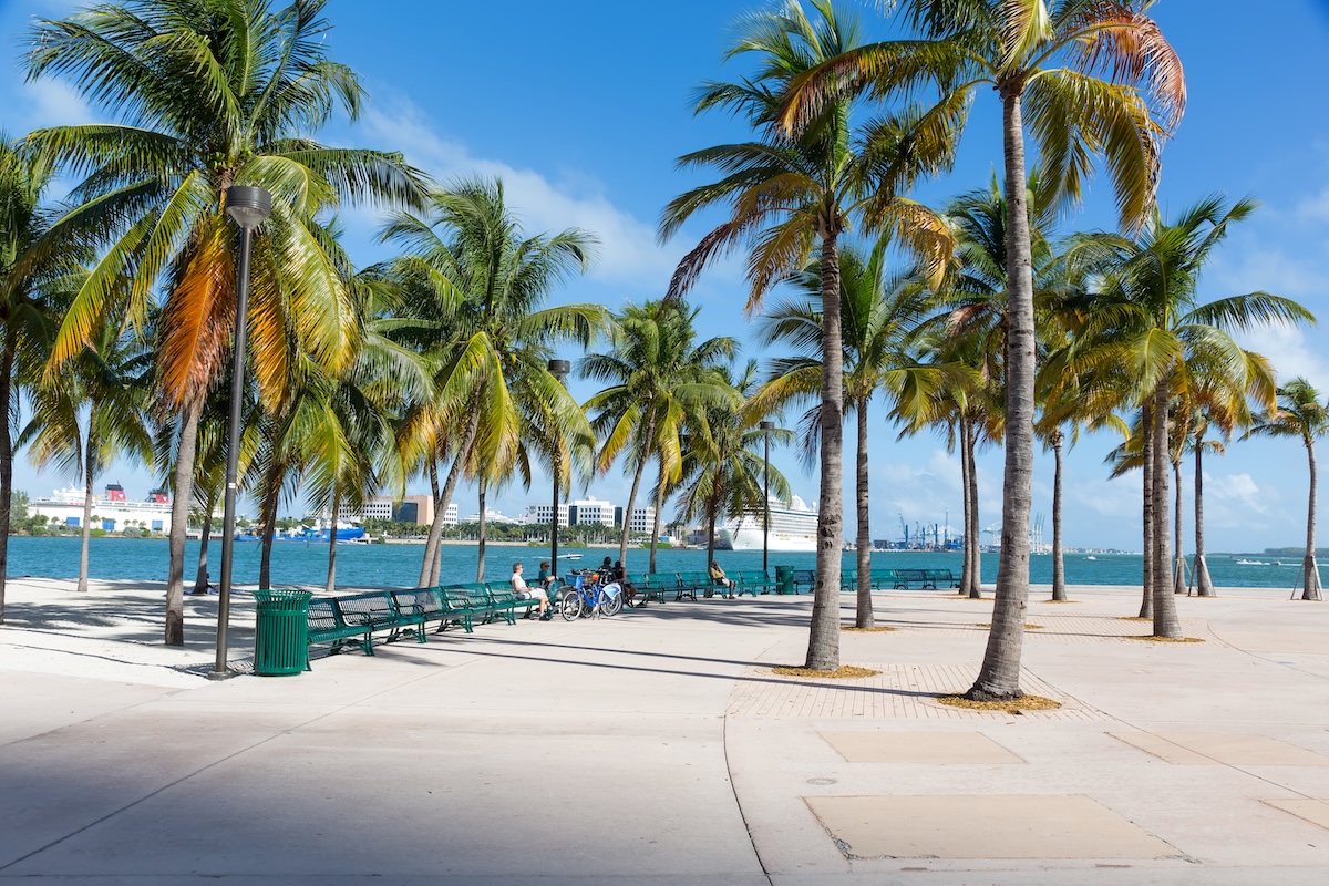 Parque frente a la bahía