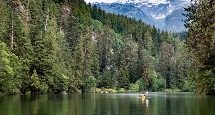 Great Bear Rainforest