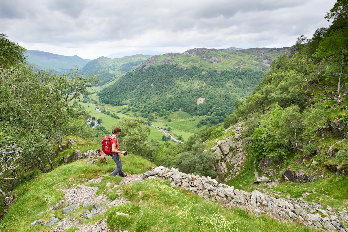 Distrito de los lagos