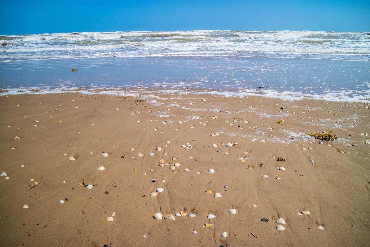 Padre Island National Seashore