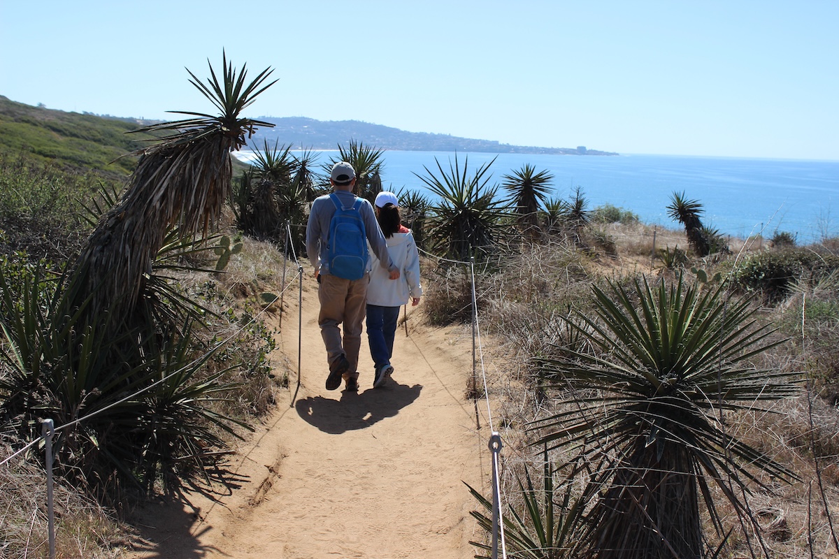 Torrey Pines State Natural Reserve