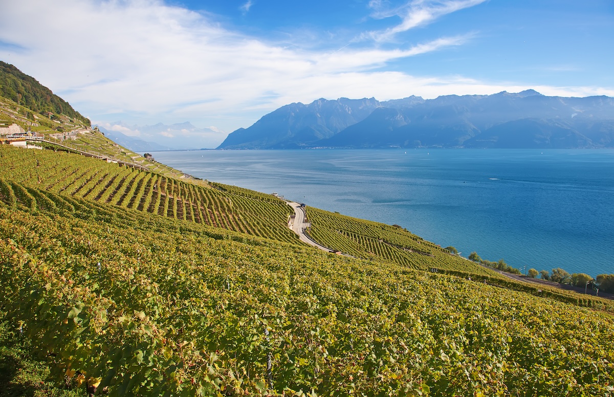 Vineyards of Lavaux