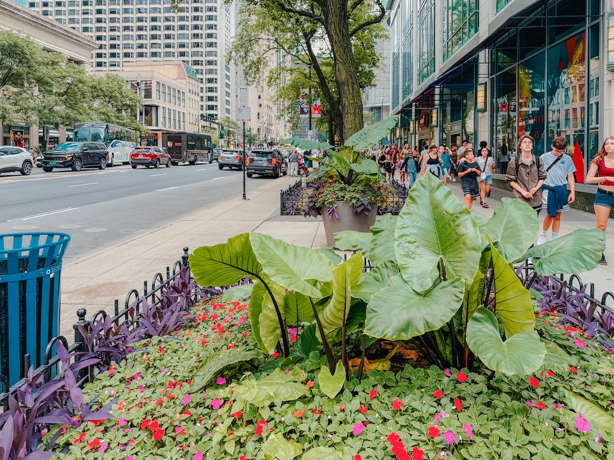 Avenida norte de Michigan