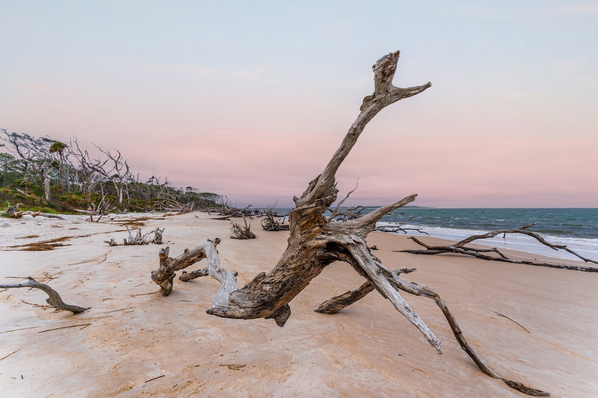Big Talbot Island State Park