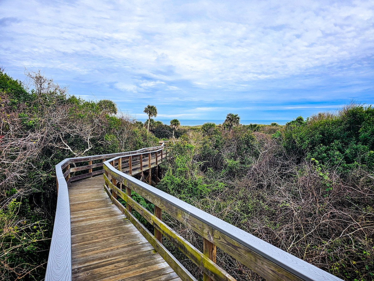 Canaveral National Seashore