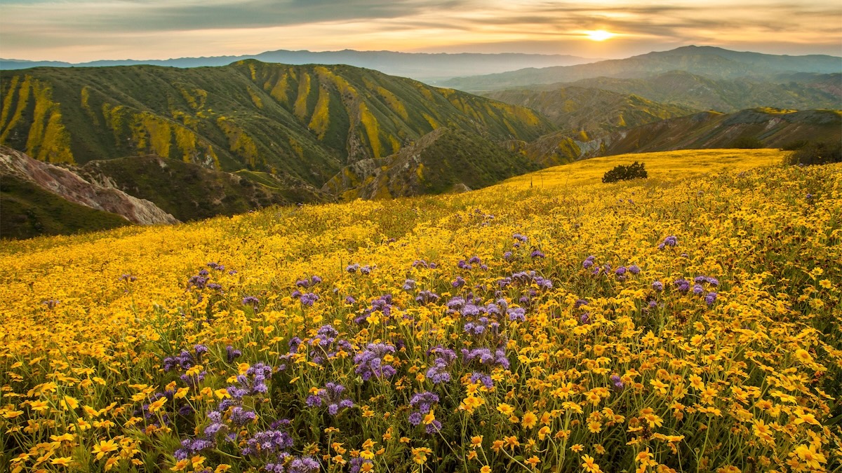 Carrizo Plain National Monument