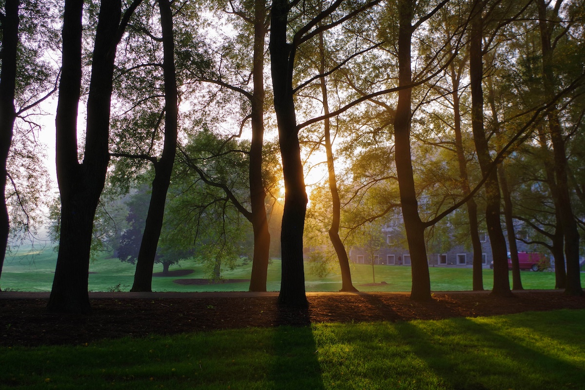 Colgate University