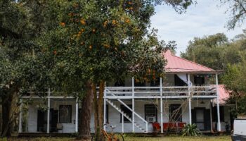 Cumberland Island