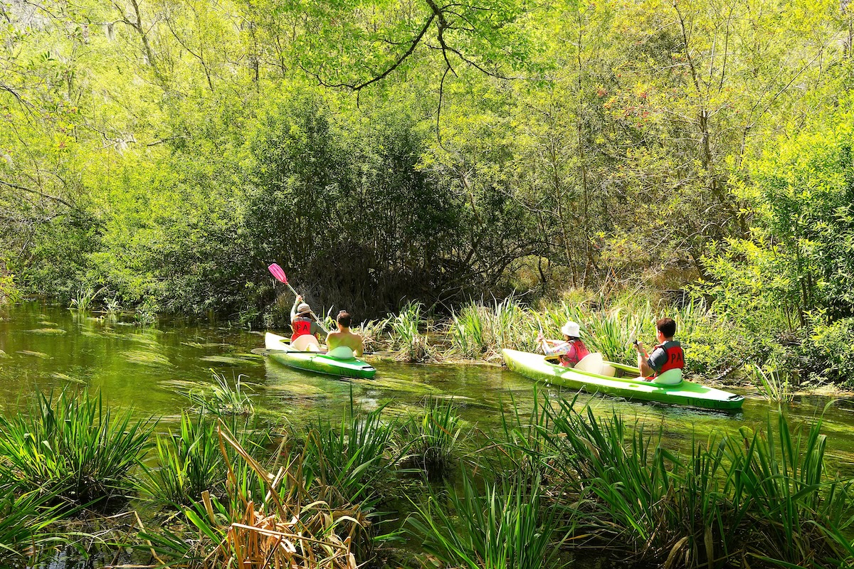Ichetucknee Springs State Park